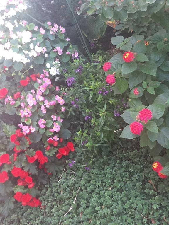 South Bridge Bed And Breakfast Philadelphia Ngoại thất bức ảnh
