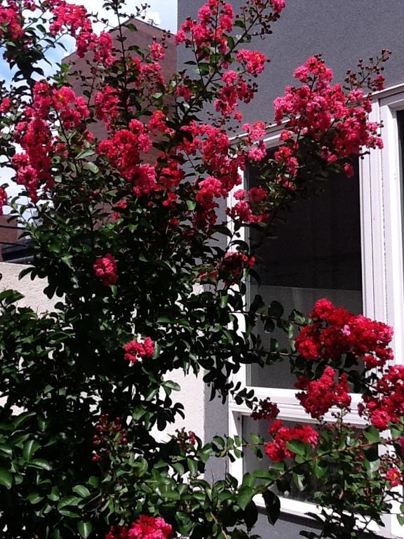 South Bridge Bed And Breakfast Philadelphia Ngoại thất bức ảnh